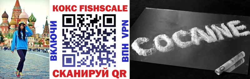 Cocaine FishScale  что такое   Алексеевка 