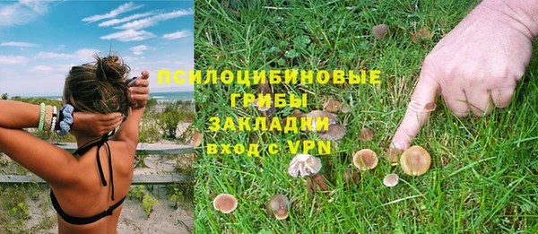сатива Алексеевка